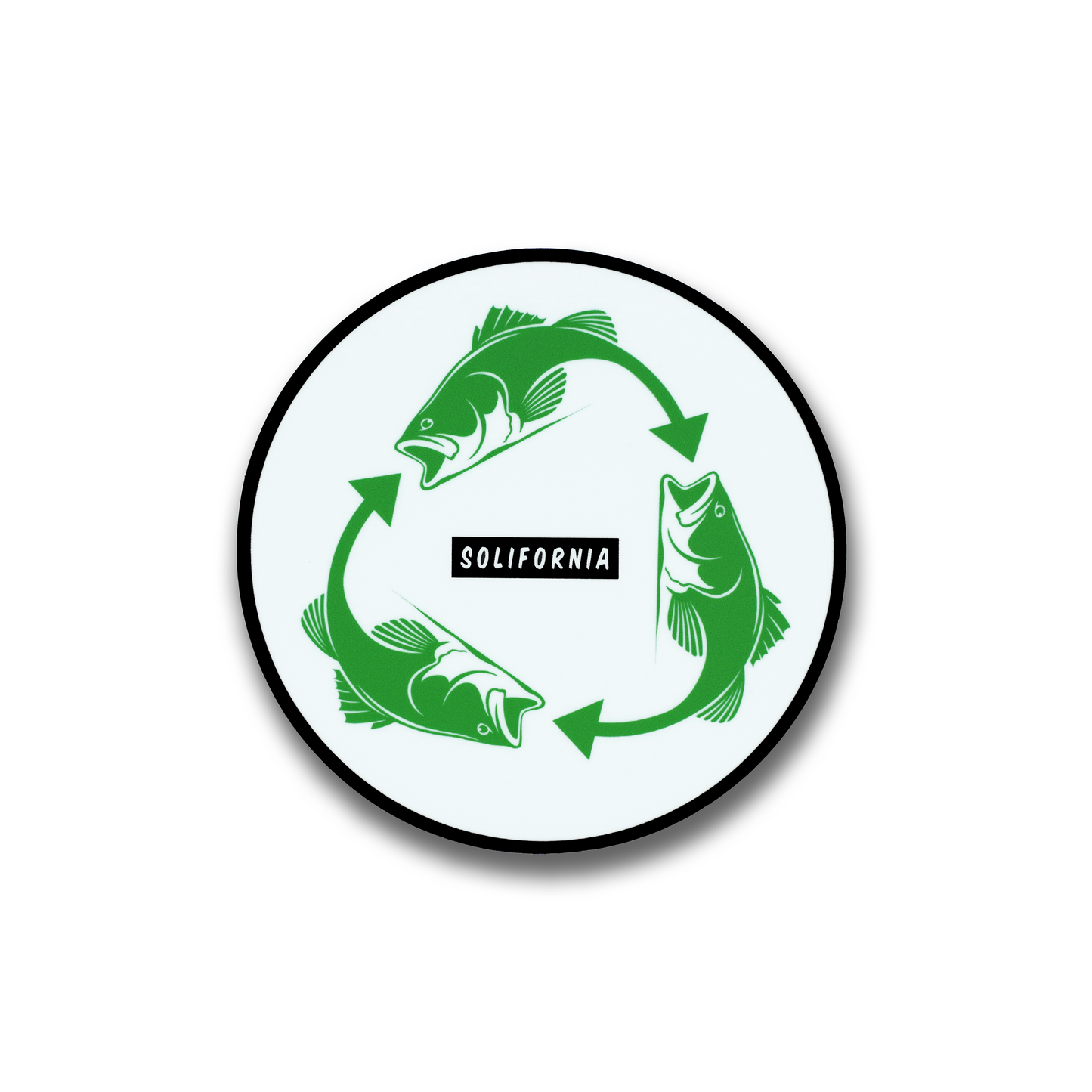 Catch & Release Decal