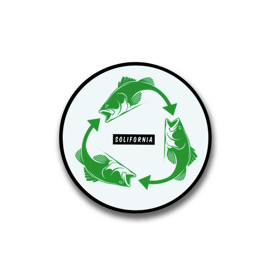 Catch & Release Decal